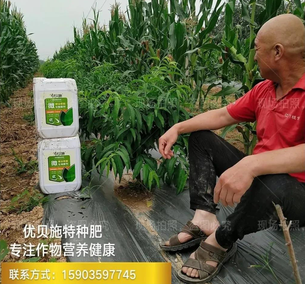 bob鲍勃平台:刘守英：重新界定农业的基础地位和作用